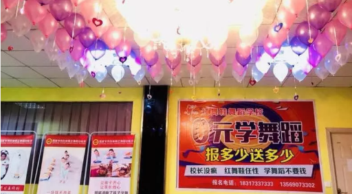 【培训行业】河南舞蹈 15天营业额***元