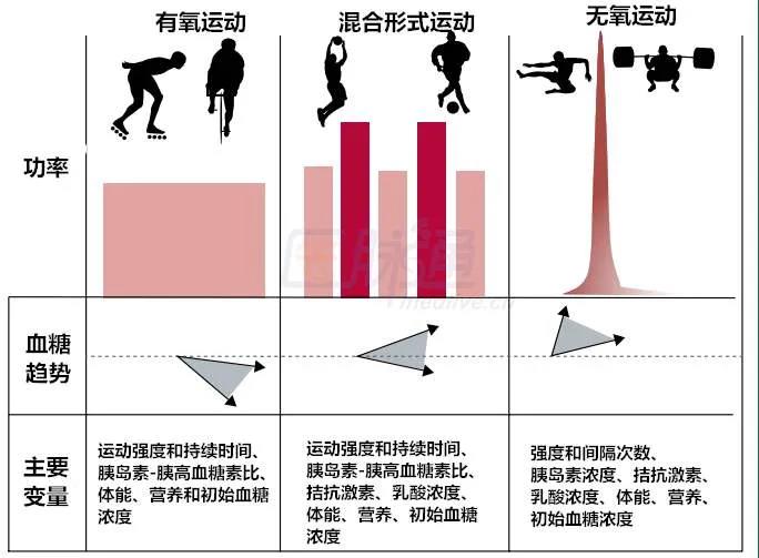 健身效果