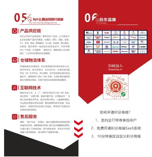 积分商城营销企叮咚2