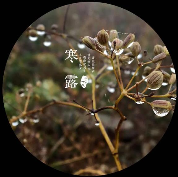 10月实体企业营销热点5