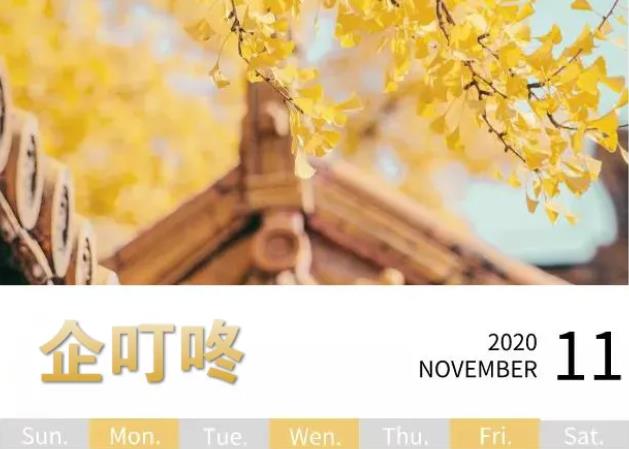 企叮咚给你带来双十一、万圣节...11月营销热点来啦，赶快收藏！