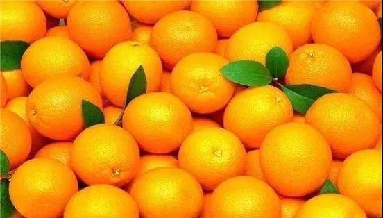 果品店营销案例
