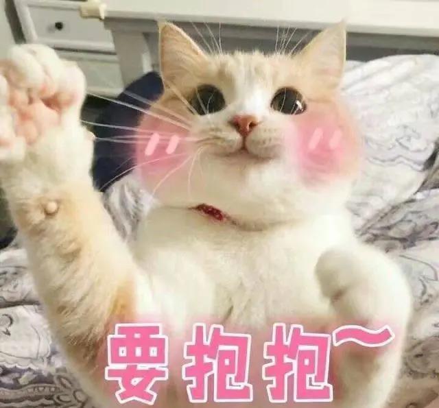 100句520文案，企叮咚礼品采购平台祝你爱情满分，幸福甜蜜！
