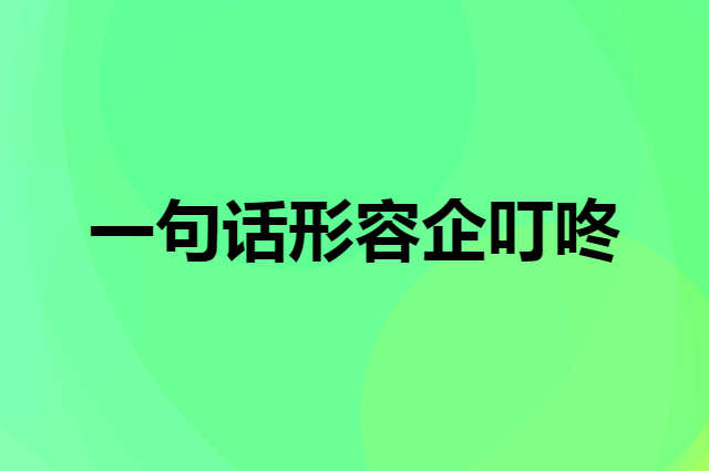 一句话形容企叮咚是做什么的？