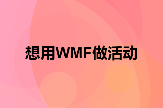 想用WMF做活动，在哪里买比较合适？