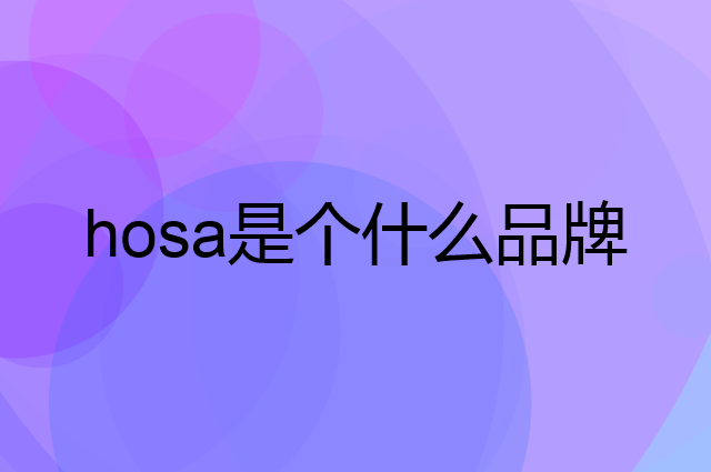 浩沙 hosa是个什么品牌，这个品牌怎么样？