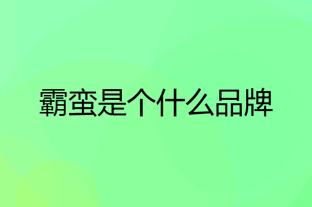 霸蛮是个什么品牌，这个品牌怎么样？