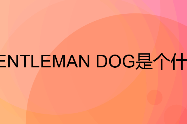 绅士狗 GENTLEMAN DOG是个什么品牌，这个品牌怎么样？