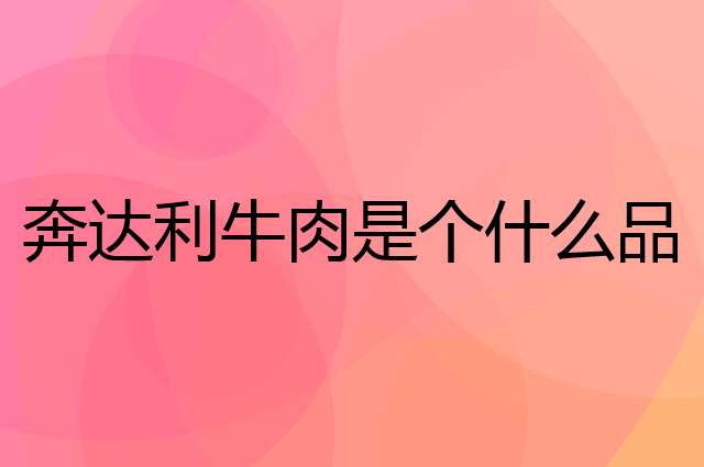 奔达利牛肉是个什么品牌，这个品牌怎么样？