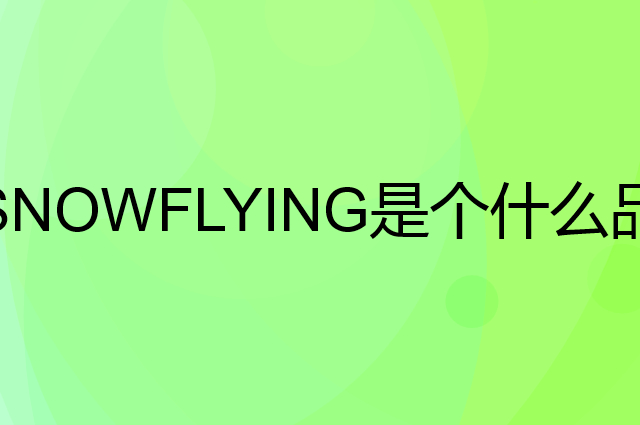 雪中飞 SNOWFLYING是个什么品牌，这个品牌怎么样？