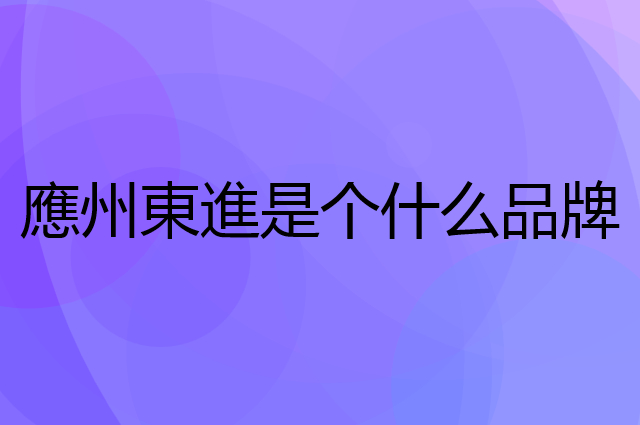 應州東進是个什么品牌，这个品牌怎么样？