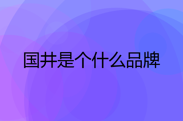 国井是个什么品牌，这个品牌怎么样？