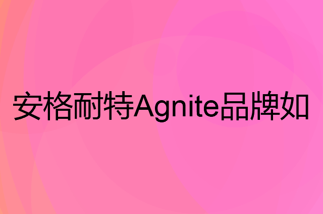 安格耐特Agnite是个什么品牌，这个品牌怎么样？
