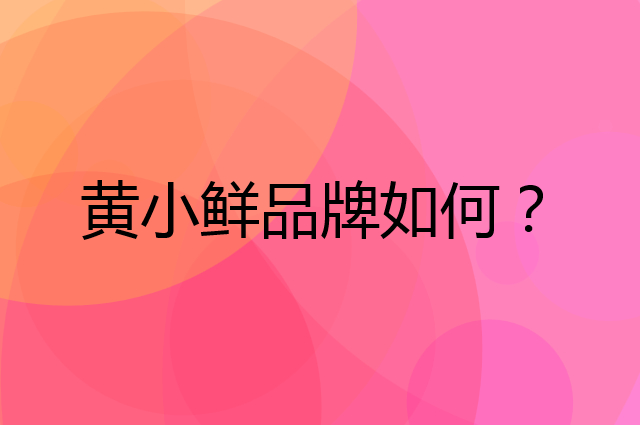 黄小鲜是个什么品牌，这个品牌怎么样？