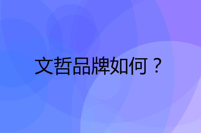 文哲是个什么品牌，这个品牌怎么样？