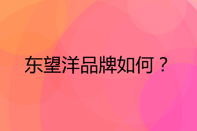 东望洋是个什么品牌，这个品牌怎么样？