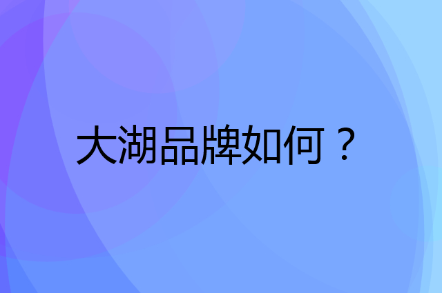 大湖是个什么品牌，这个品牌怎么样？