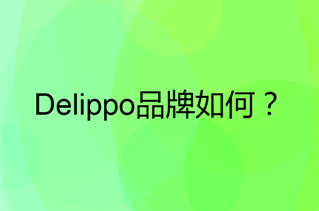 Delippo是个什么品牌，这个品牌怎么样？