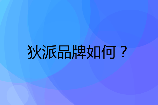 狄派是个什么品牌，这个品牌怎么样？