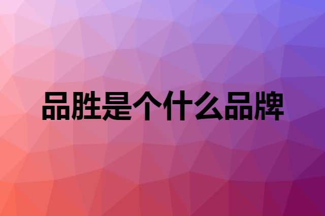 品胜 PISEN是个什么品牌，这个品牌怎么样？