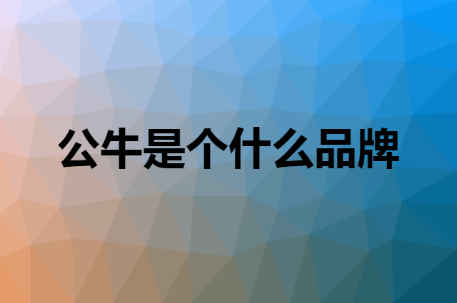 公牛 BULL是个什么品牌，这个品牌怎么样？