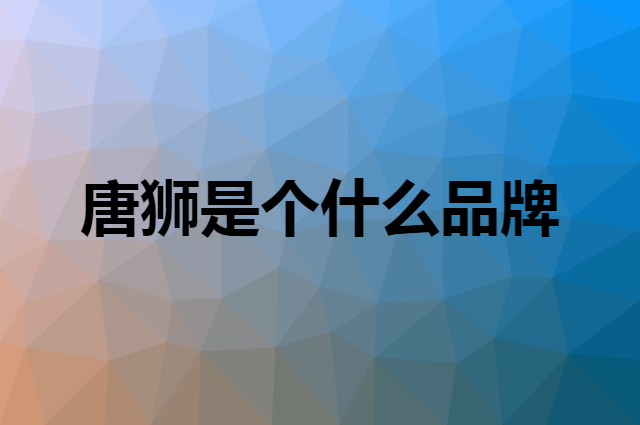唐狮 TONLION是个什么品牌，这个品牌怎么样？