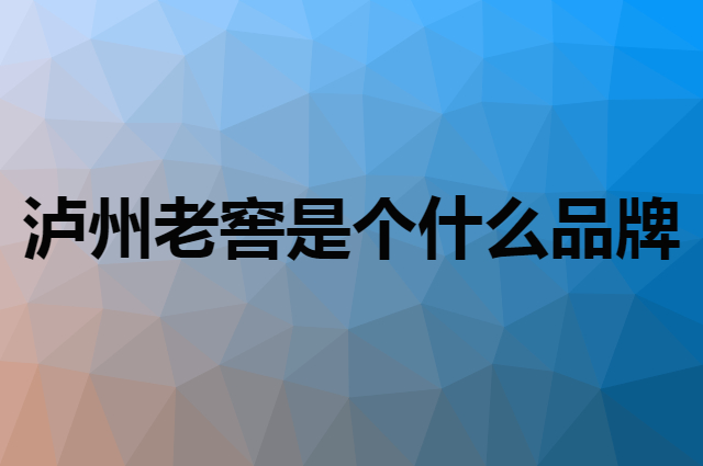泸州老窖是个什么品牌，这个品牌怎么样？