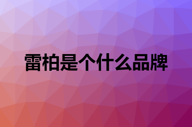 雷柏 RAPOO是个什么品牌，这个品牌怎么样？