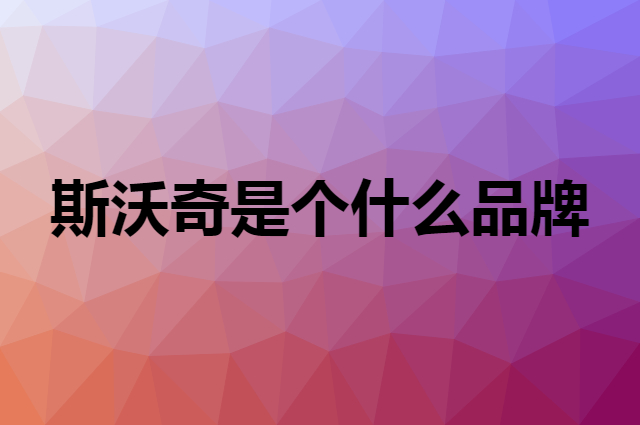 斯沃奇 SKWLOCHE是个什么品牌，这个品牌怎么样？