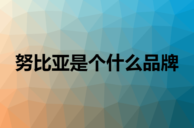 努比亚 nubia是个什么品牌，这个品牌怎么样？