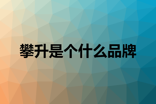 攀升 IPASON是个什么品牌，这个品牌怎么样？