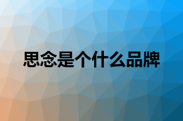 思念是个什么品牌，这个品牌怎么样？
