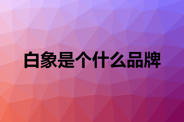 白象 BAIXIANG是个什么品牌，这个品牌怎么样？