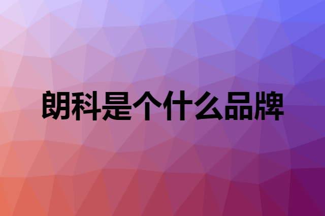 朗科 Netac是个什么品牌，这个品牌怎么样？