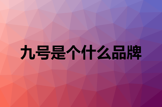 九号 Ninebot是个什么品牌，这个品牌怎么样？