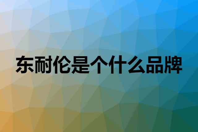 东耐伦是个什么品牌，这个品牌怎么样？