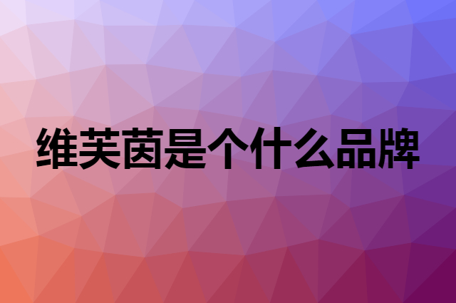 维芙茵 V4INK是个什么品牌，这个品牌怎么样？