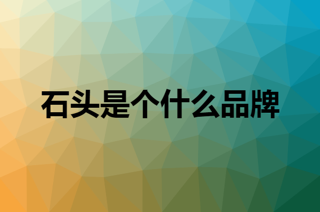 石头 Roborock是个什么品牌，这个品牌怎么样？