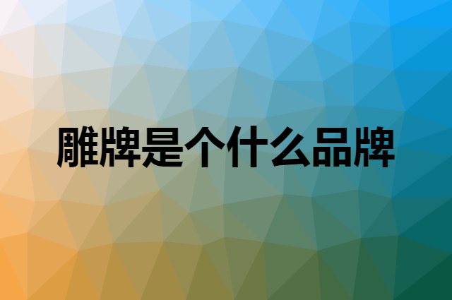 雕牌是个什么品牌，这个品牌怎么样？