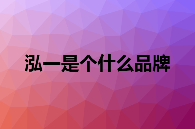 泓一是个什么品牌，这个品牌怎么样？