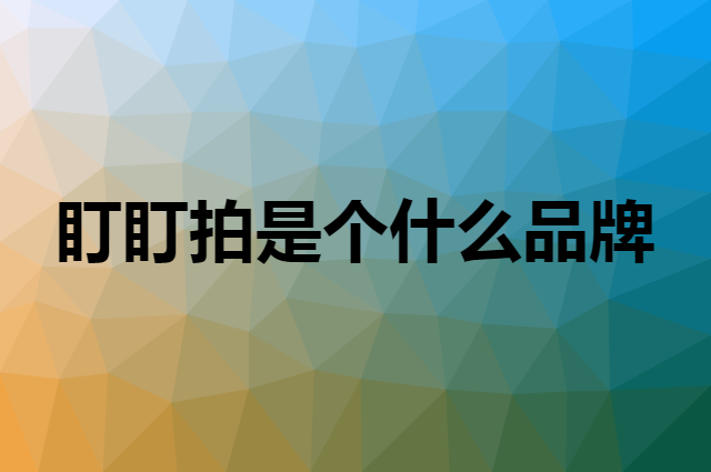 盯盯拍 DDPAI是个什么品牌，这个品牌怎么样？