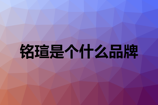 铭瑄 MAXSUN是个什么品牌，这个品牌怎么样？