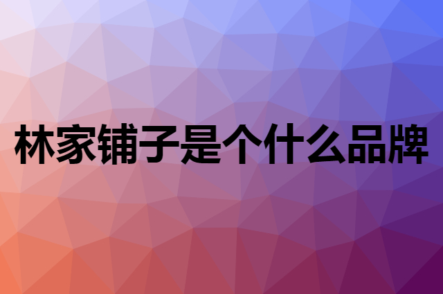 林家铺子是个什么品牌，这个品牌怎么样？