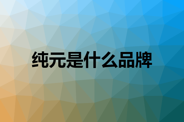 纯元 CHUNYUAN是个什么品牌，这个品牌怎么样？
