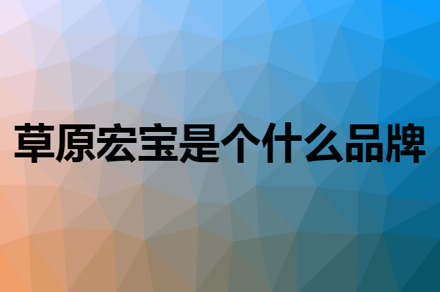 草原宏宝是个什么品牌，这个品牌怎么样？