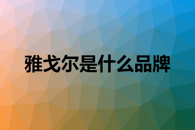 雅戈尔 YOUNGOR是个什么品牌，这个品牌怎么样？