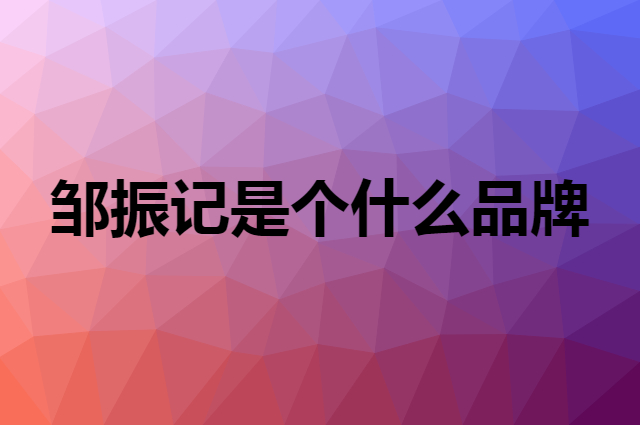 邹振记是个什么品牌，这个品牌怎么样？