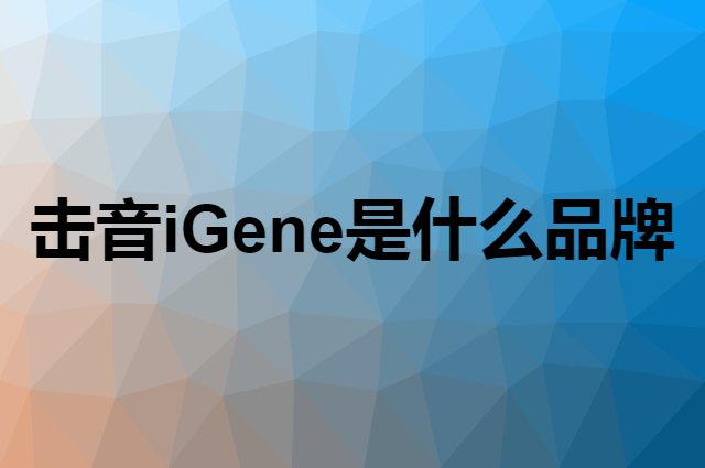 击音 iGene是个什么品牌，这个品牌怎么样？