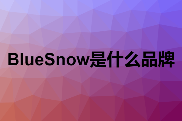 蓝雪 Blue Snow是个什么品牌，这个品牌怎么样？