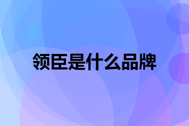 领臣 LICHEERS是个什么品牌，这个品牌怎么样？